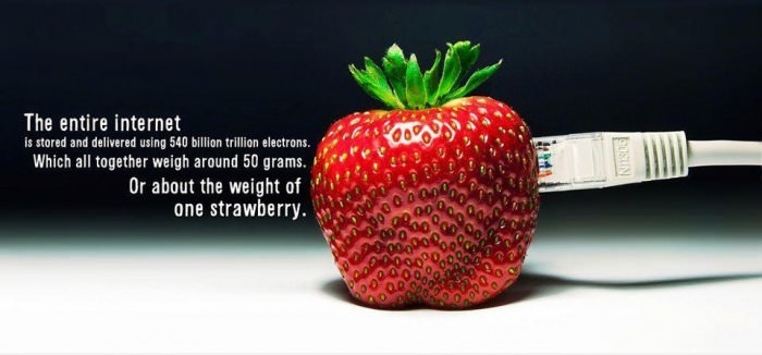 And about 45g is p0rn