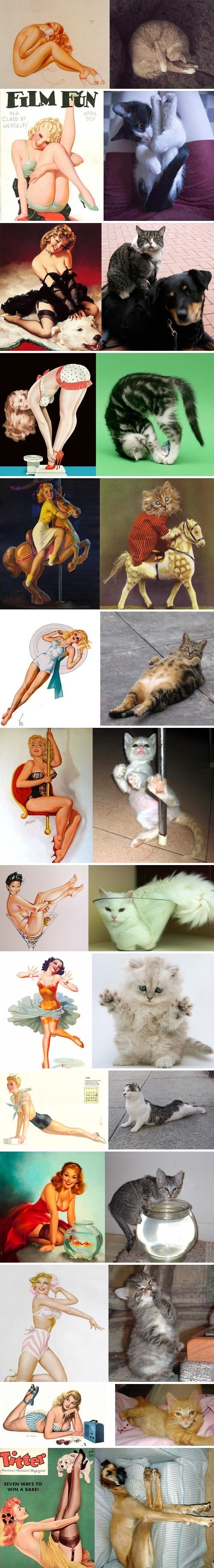 Cats and pin up girls