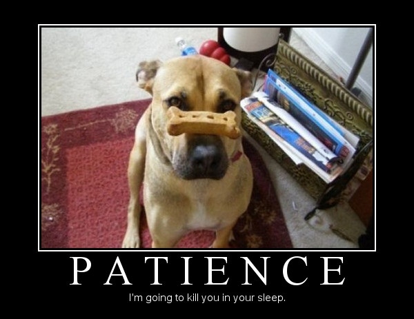 Patience