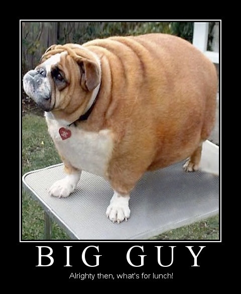 Hey big guy!