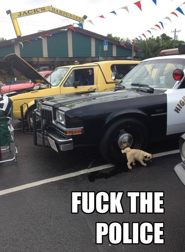 F**k the police!
