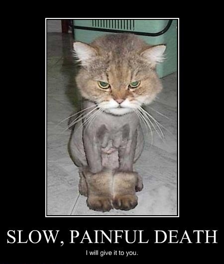 Slow, painful death..