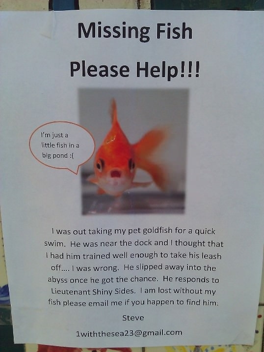 Missing Fish!