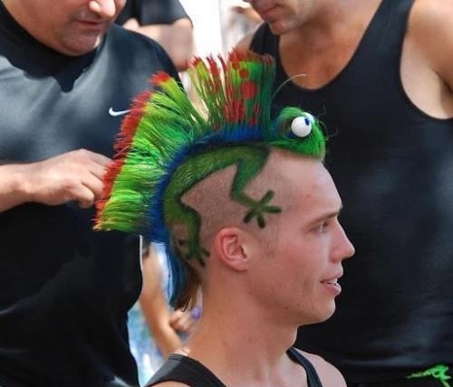 Chameleon Mohawk
