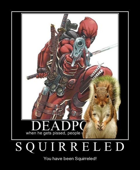 Squirreled