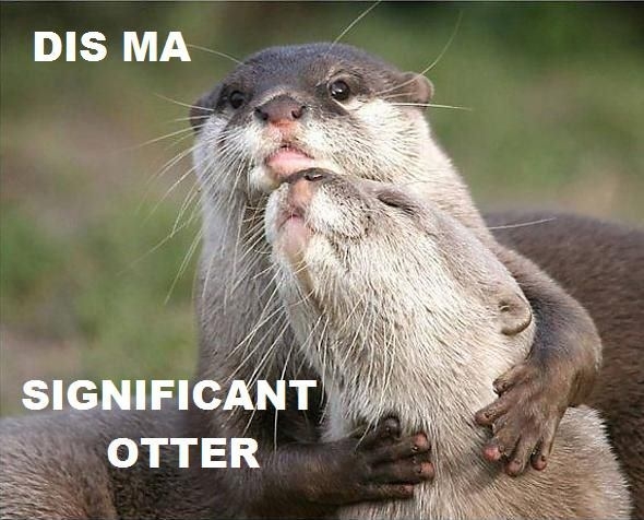 Dis ma significant otter