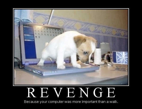 Revenge