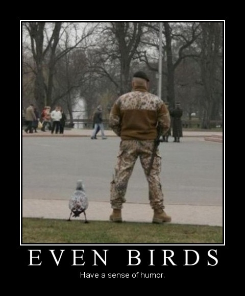 Even bird