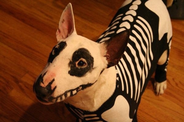 I'm ready for Halloween!