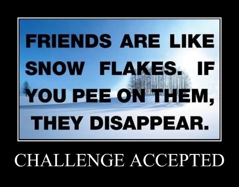 Challenge Accepted