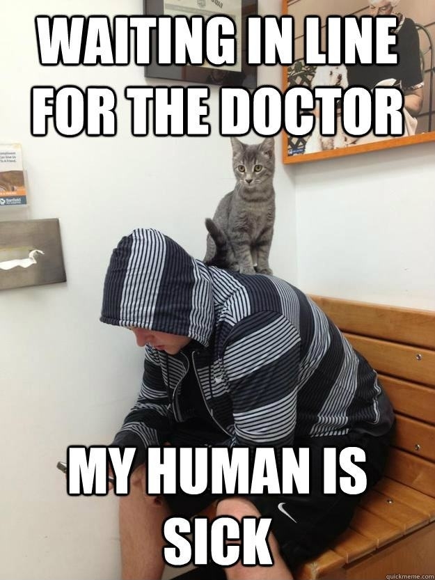 Mr Kitty's at the doctor