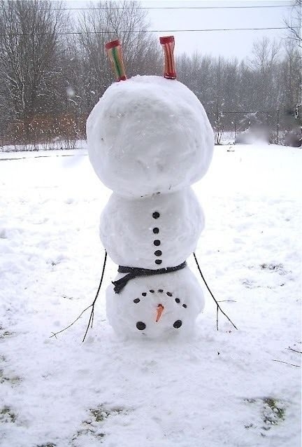 Go home Snowman..