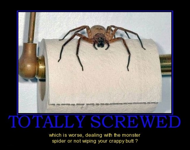Totally screwed!