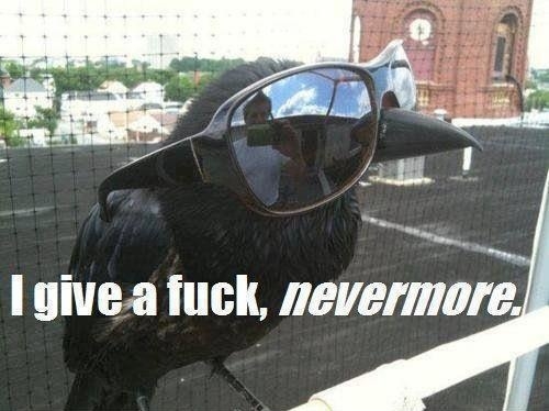 I give a f**k