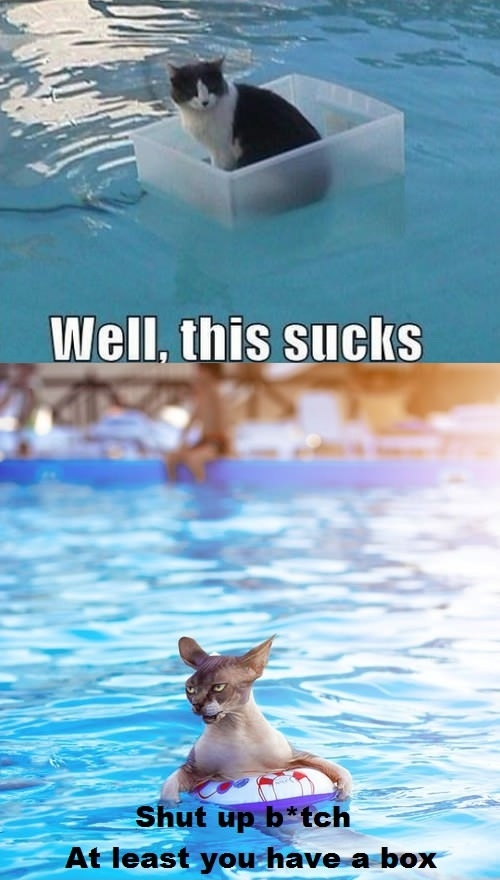 At least you have a box