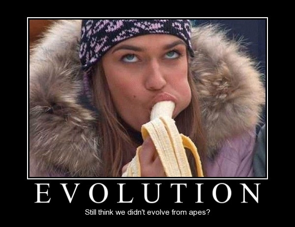 Evolution