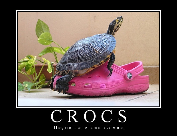 Crocs