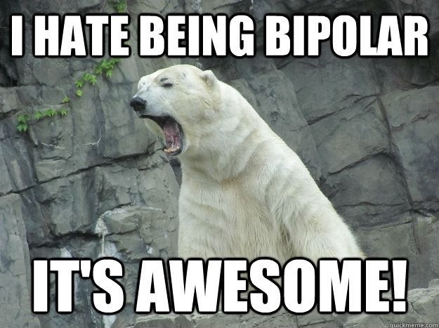 Bipolar Bear