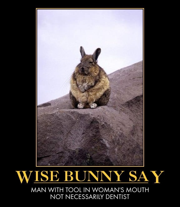 Some wise words