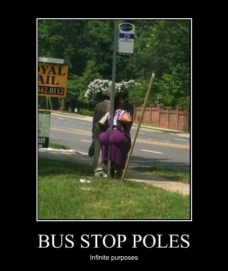 Bus stop poles
