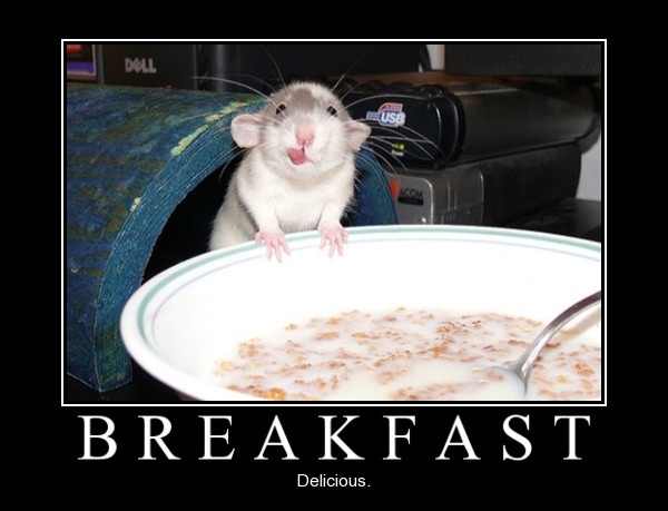 Breakfast