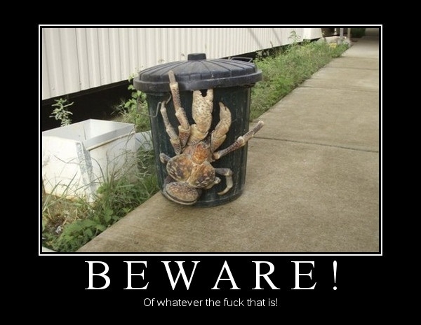 Beware!