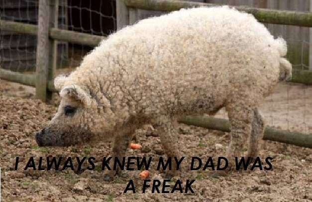 Got the worst of both worlds