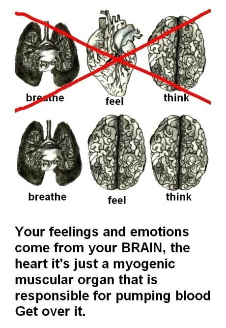 Breathe, Feel and Think