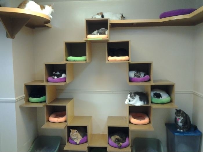 Cat Houses