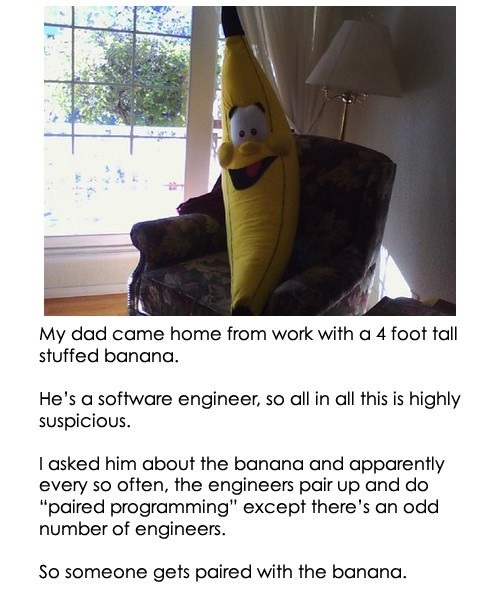 The Banana Programmer
