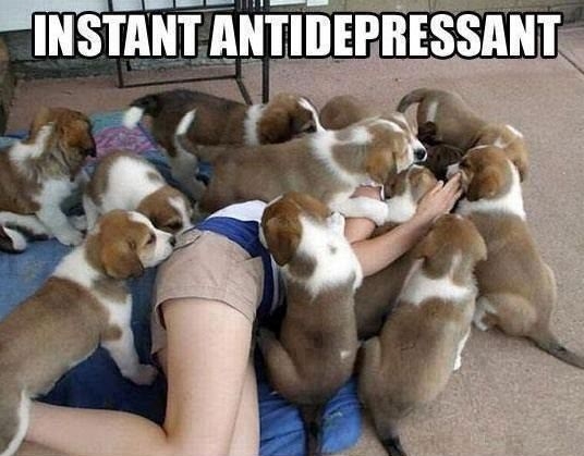 Best anti-depressant ever