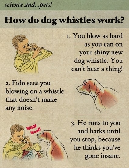 How dog whistles work