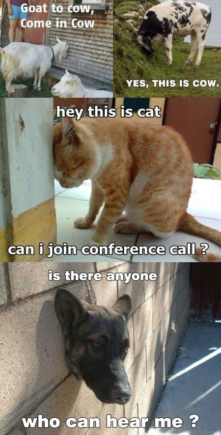 You're doing it wrong