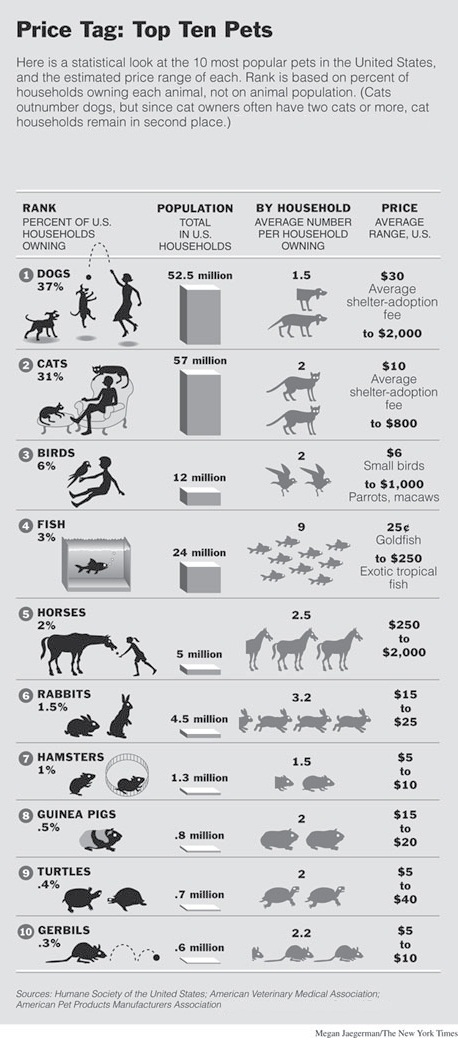 Top 10 Pets