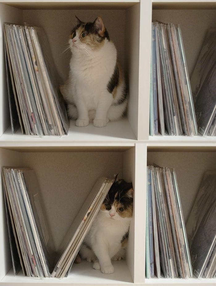 What am I doing here?