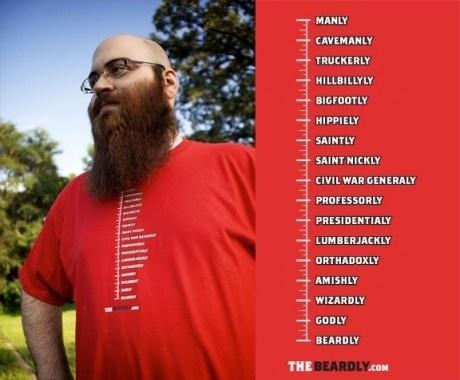 Beard measurement system