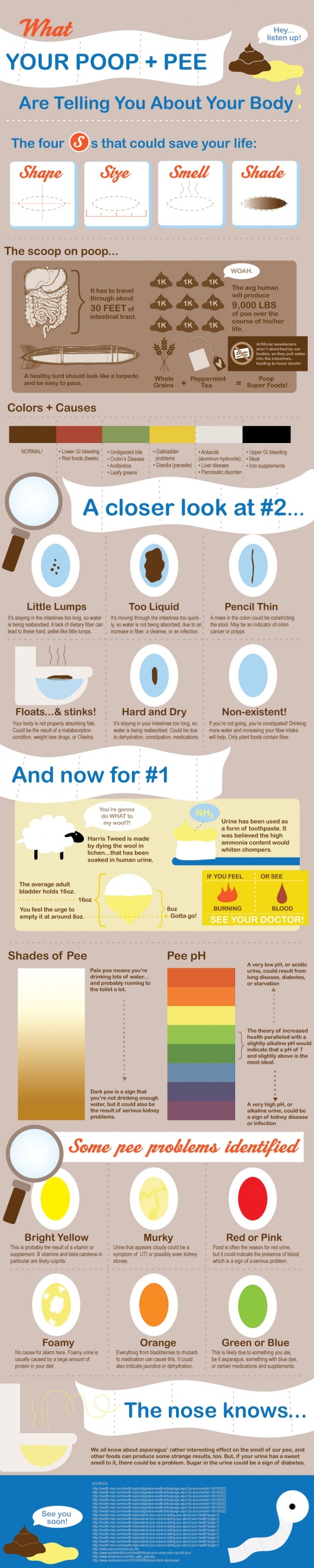 What your poop says