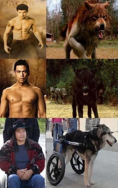 Werewolf Transformations