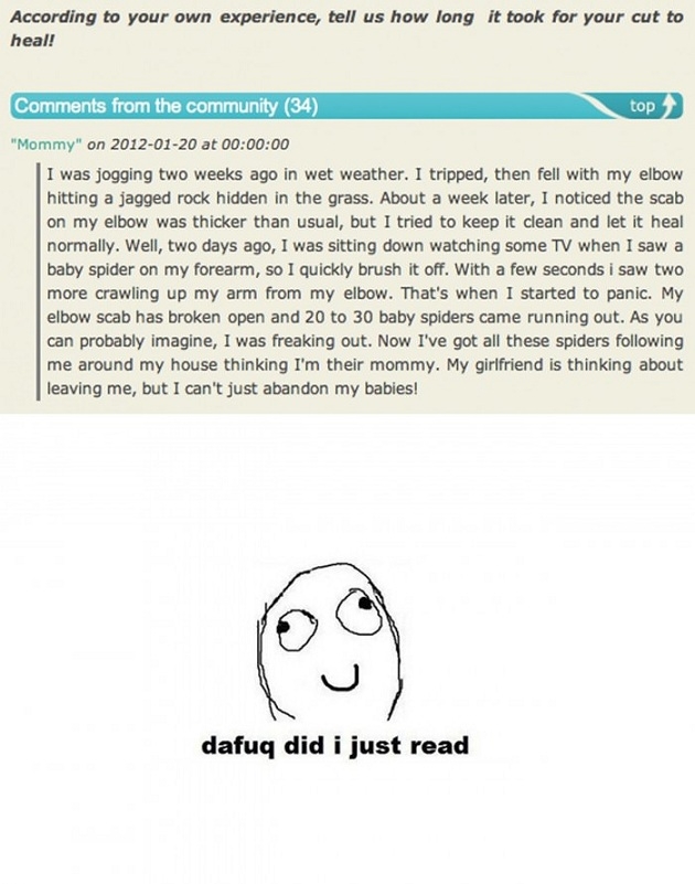 Dafuq did I just read?!