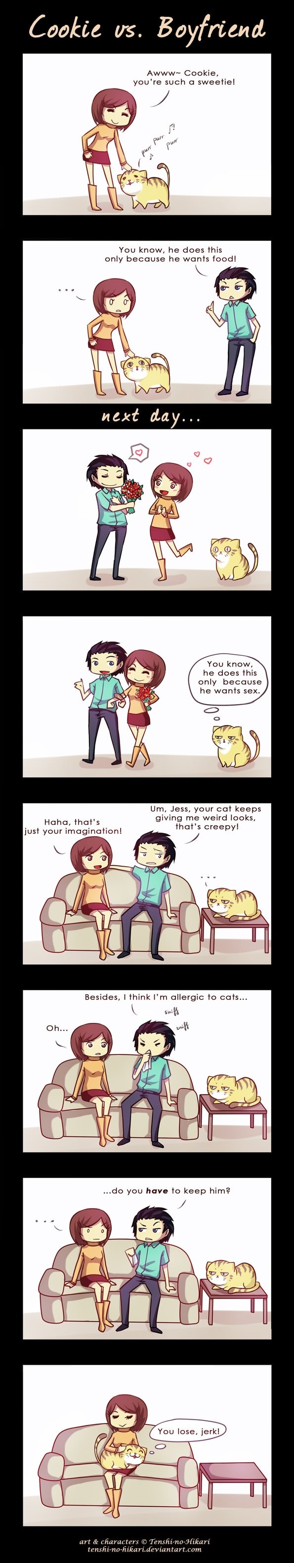 Cat vs. Boyfriend