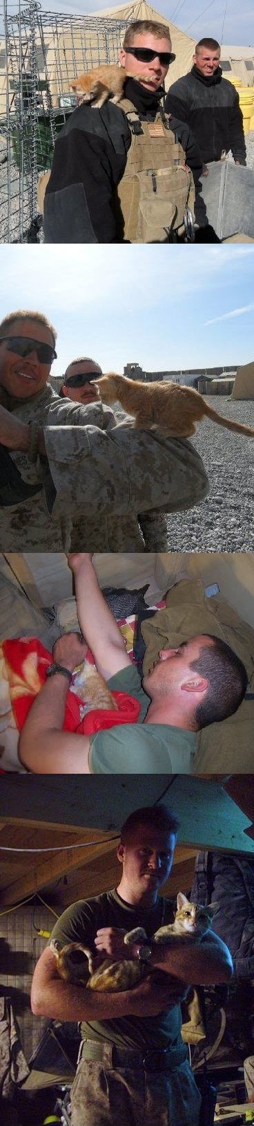 Being in the miltary