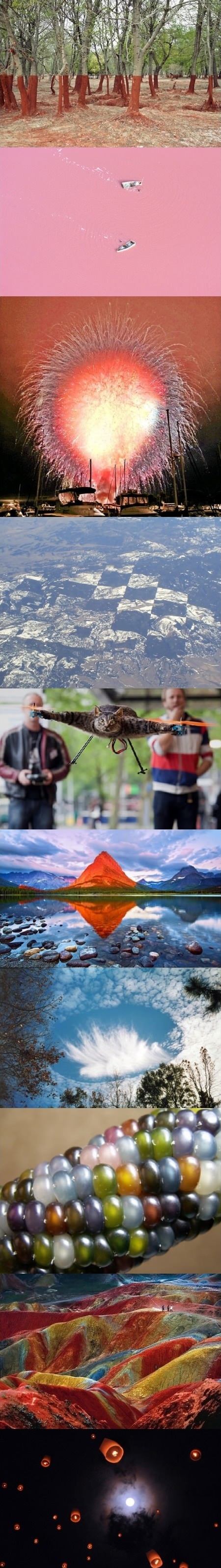 None are photoshopped