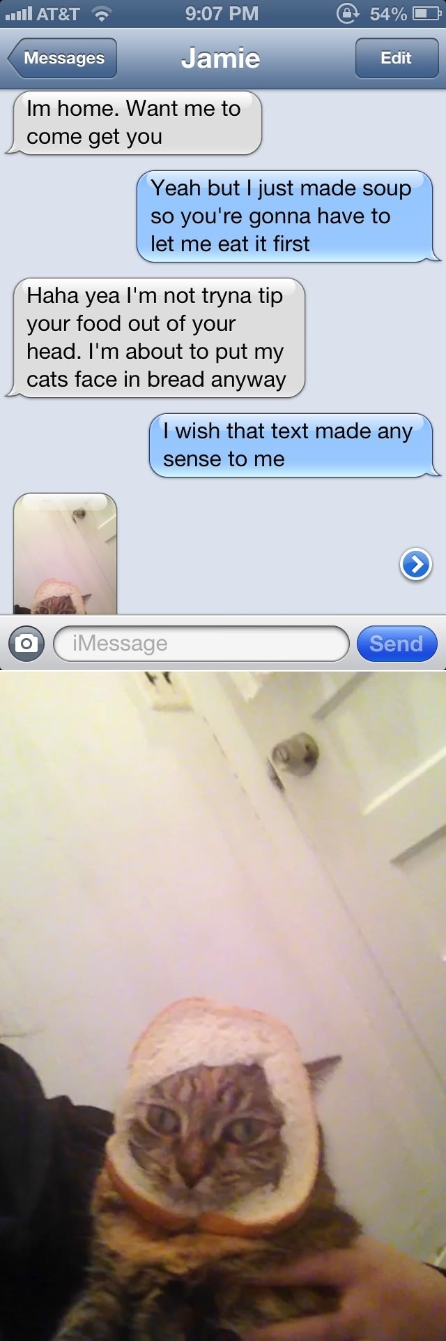 I wish the text made sense