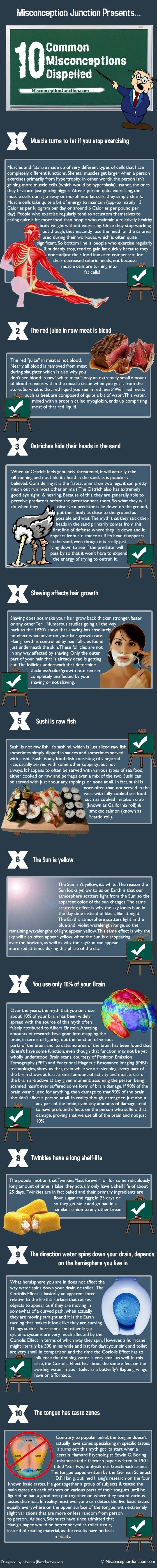 10 Common Misconceptions