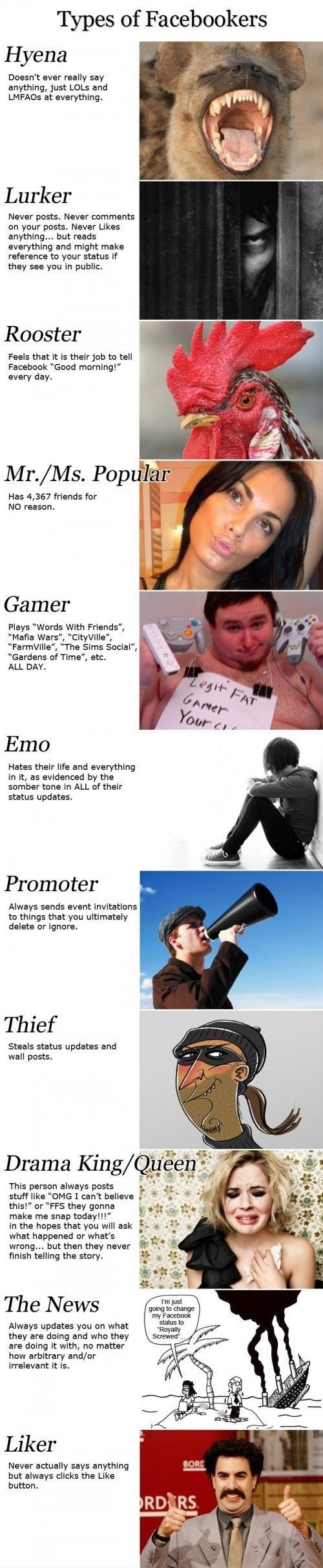 Types of Facebookers