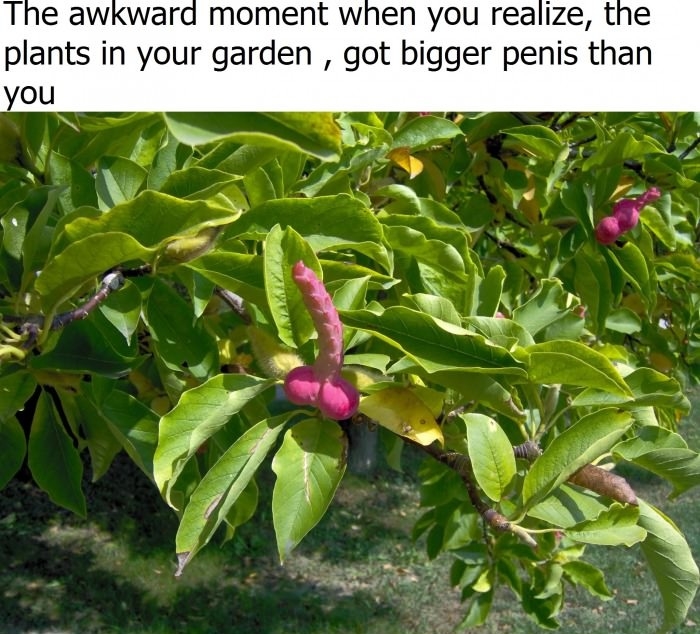 The awkward moment