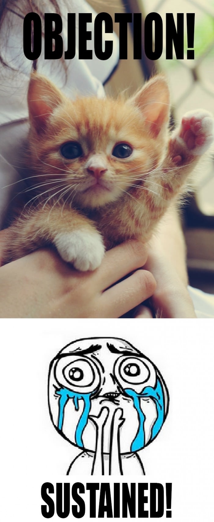 Can't deny this cutie!