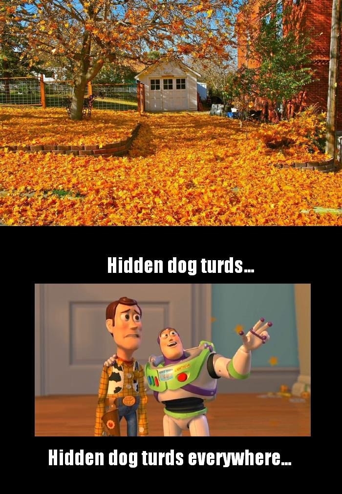 Why I hate autumn