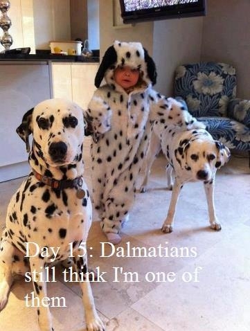 I'm leader of the pack now