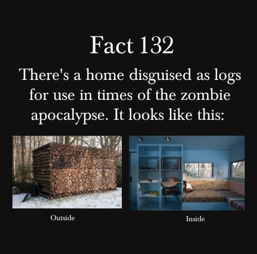 For the Zombie Apocalypse